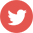 icon-twitter